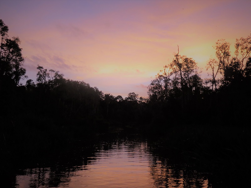 Sungai Sekonyer Sunset _ Indonesia A-Z