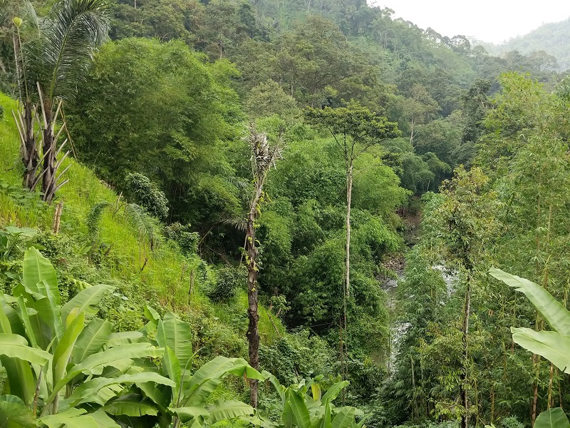 Jalur Ciboleger Indonesia A-Z
