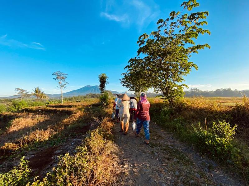 Mayoritas penduduk peniwen adalah petani Indonesia A-Z