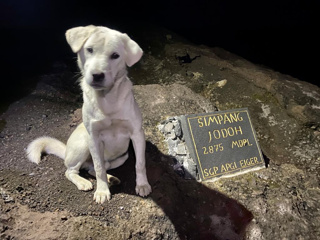 Jackie di Simpang Jodoh Gunung Agung Indonesia A-Z