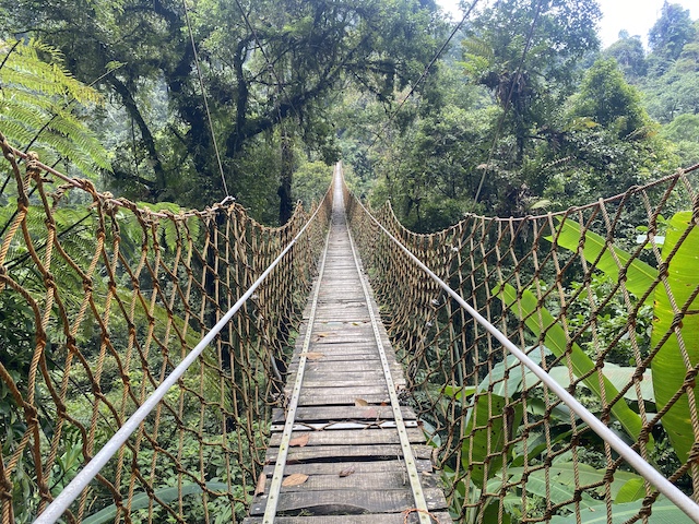 Jembatan menanjak di atas air terjun Lembah Purba Situ Gunung Indonesia A-Z
