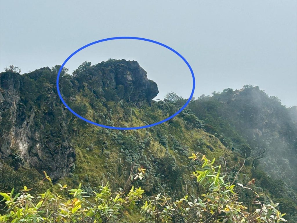 Batu Singa atau Batu Kingkong?