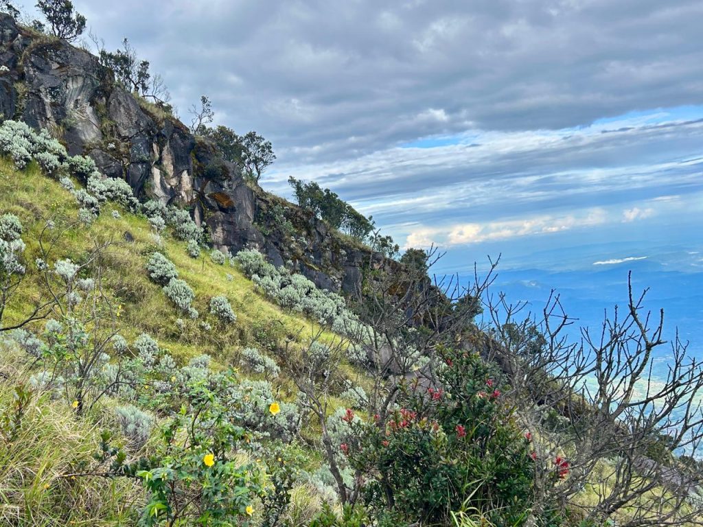 Lembah Edelweis Gunung Sumbing Indonesia A-Z