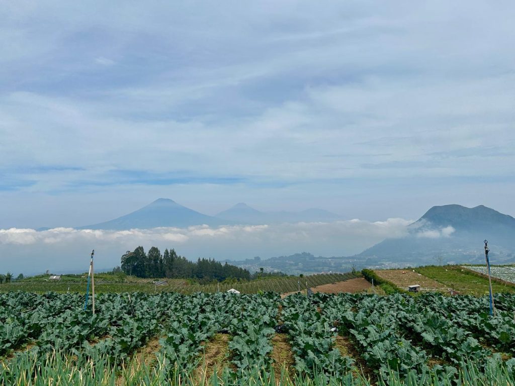 Basecamp Merbabu via Wekas Indonesia A-Z
