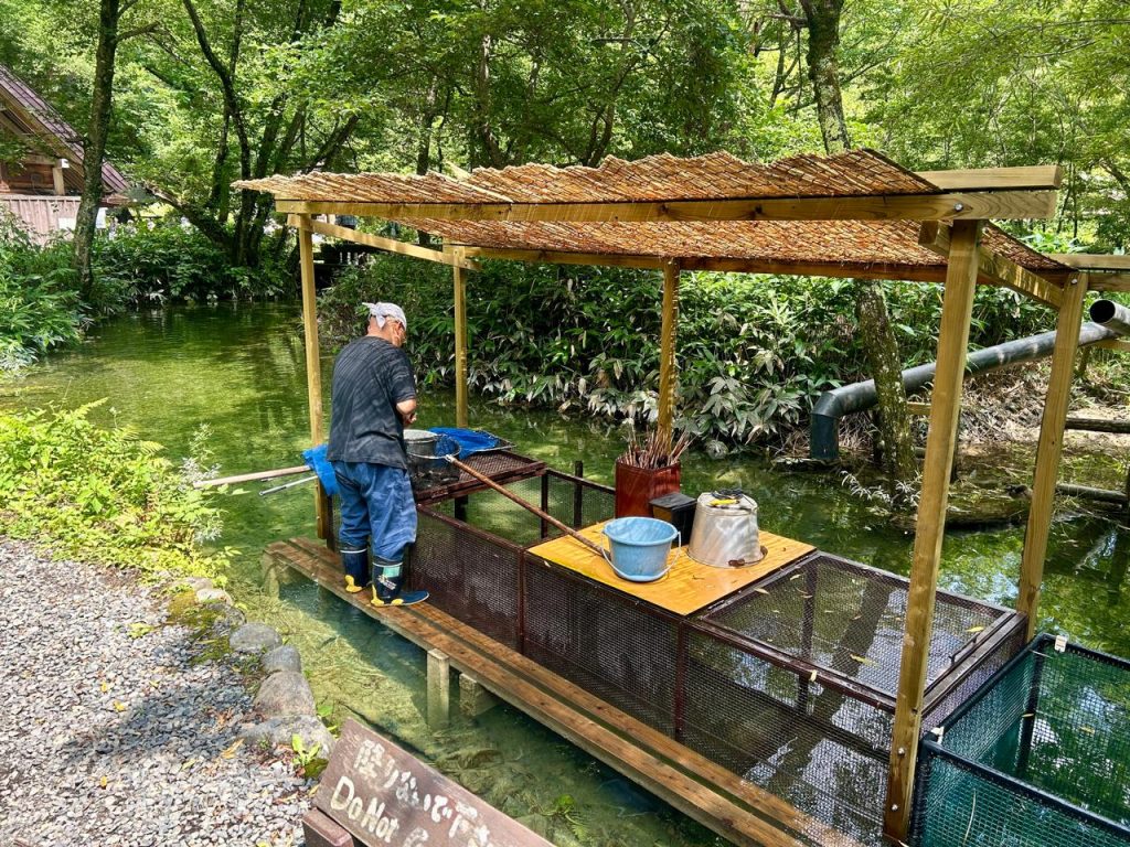 Ikan yang baru ditangkap dari sungai