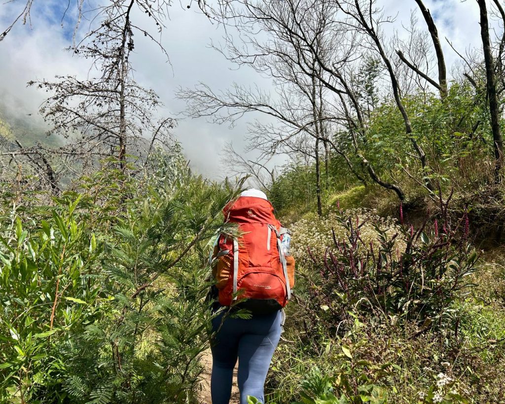 Jalur Wekas yang rimbun Indonesia A-Z