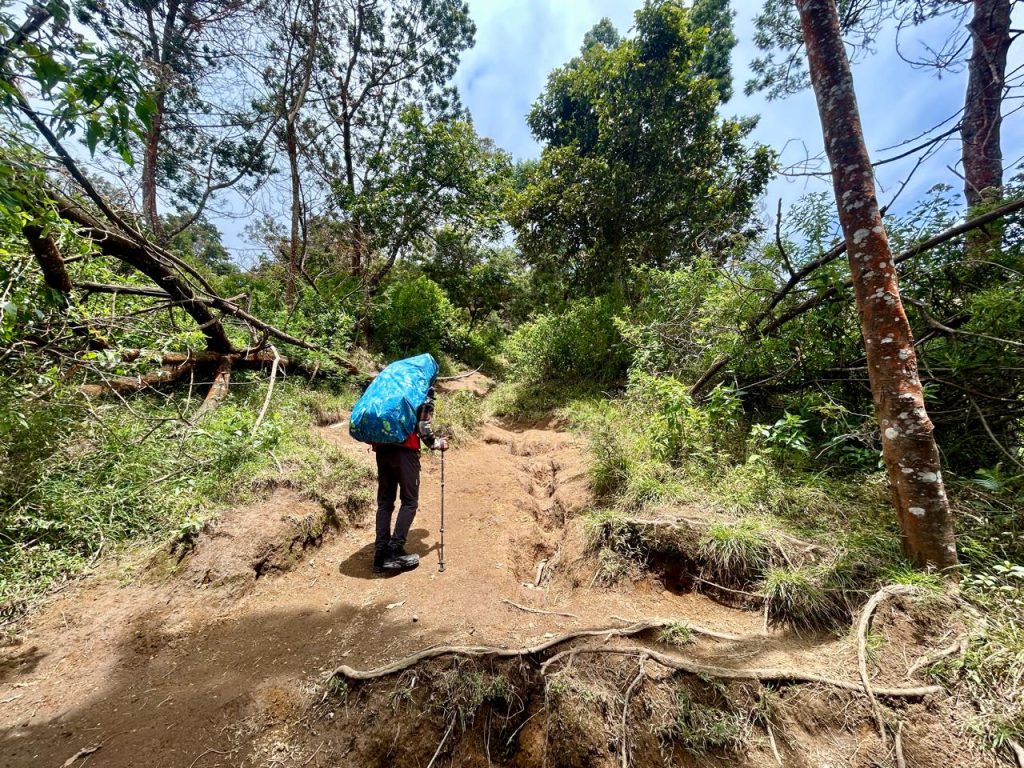 Jalur pendakian Merbabu via Wekas Indonesia A-Z