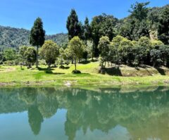 Cisadon Sentul Indonesia A-Z