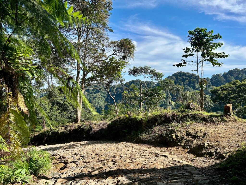 Jalur turunan Cisadon Indonesia A-Z