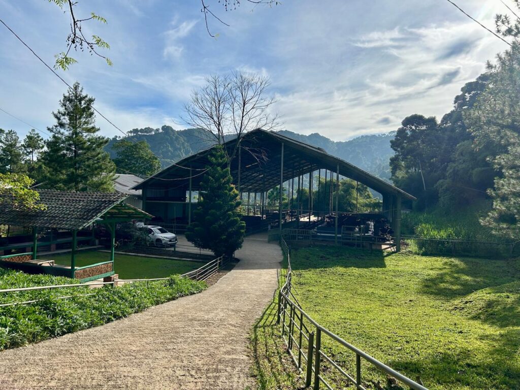 Kandang Sapi Prabowo Sentul Indonesia A-Z