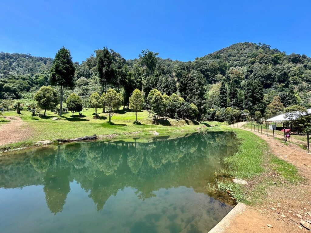 Sekitar danau hijau cisadon Indonesia A-Z