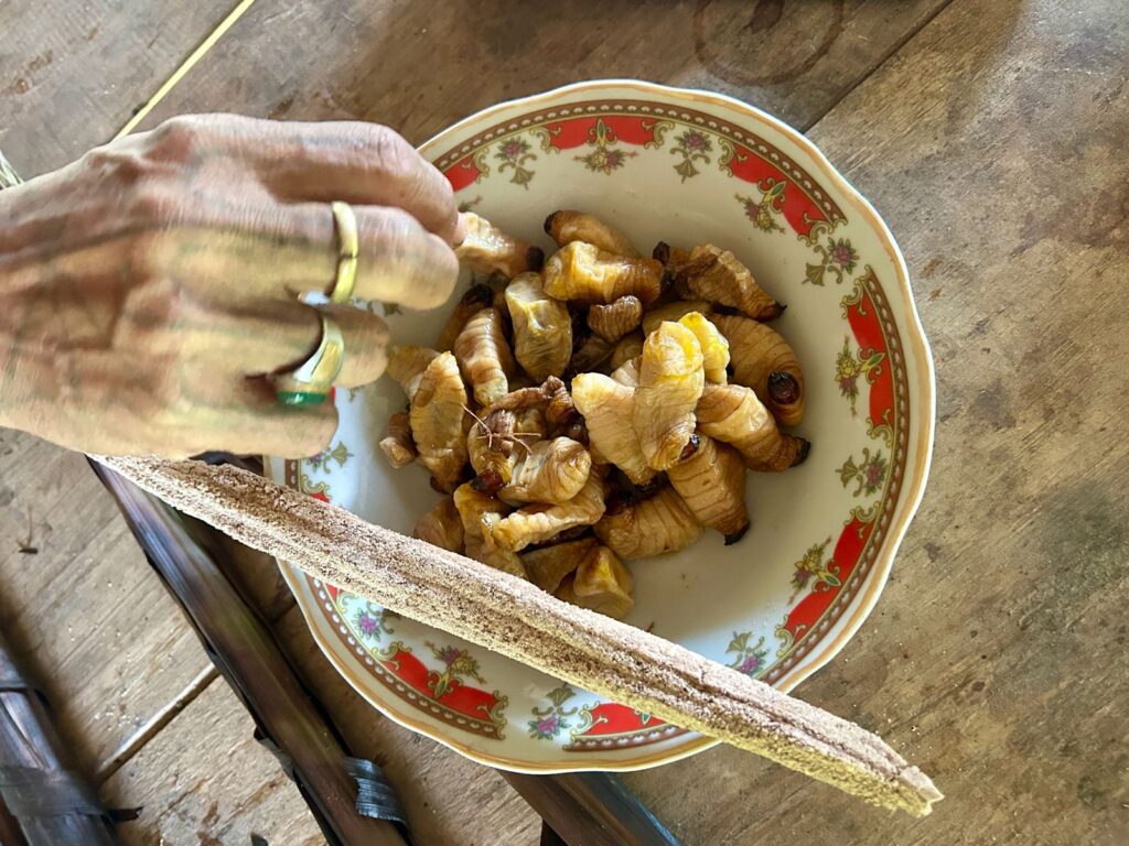 Kapurut dan ulat sagu rebus di Mentawai Indonesia A-Z