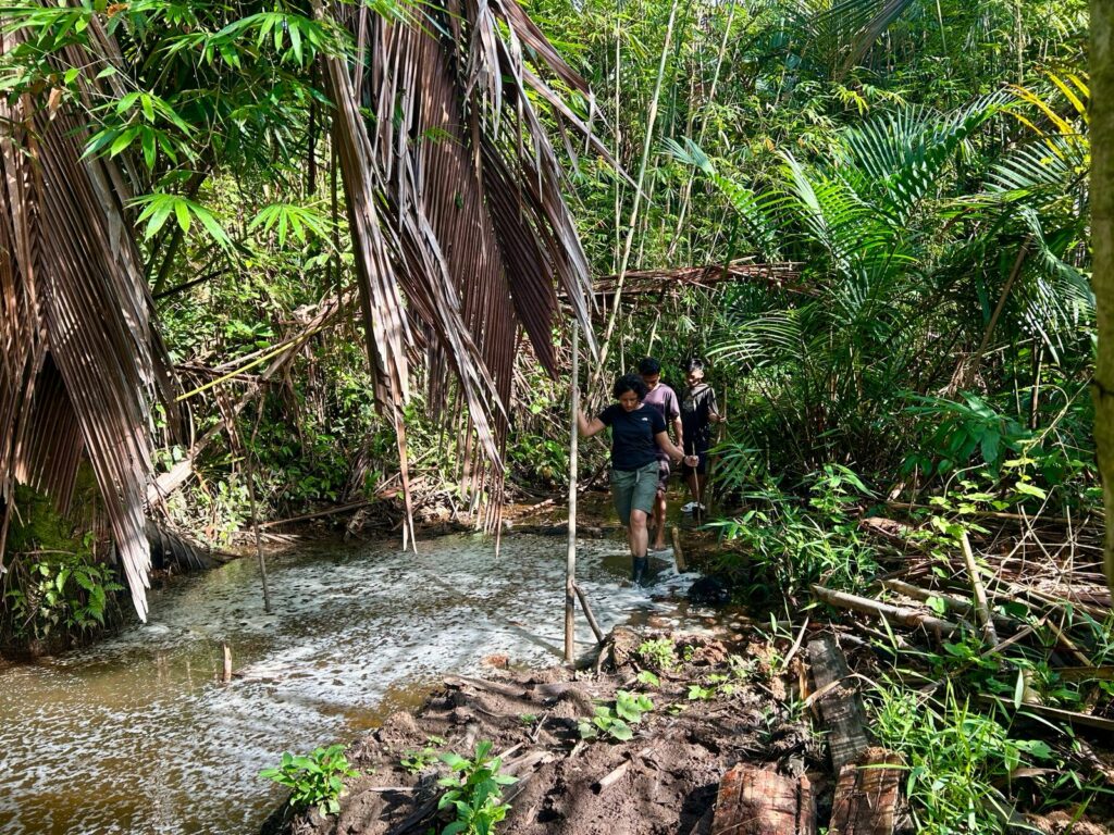 Masuk hutan cari ulat sagu Mentawai Indonesia A-Z