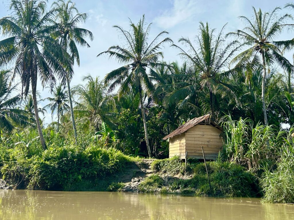 Perjalanan pulang di Sungai Buttui Mentawai Indonesia A-Z