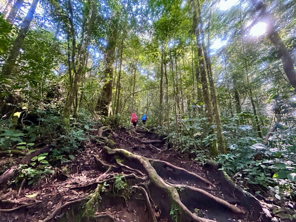 Trek Kerinci Pos 1 ke Pos 2 Indonesia A-Z