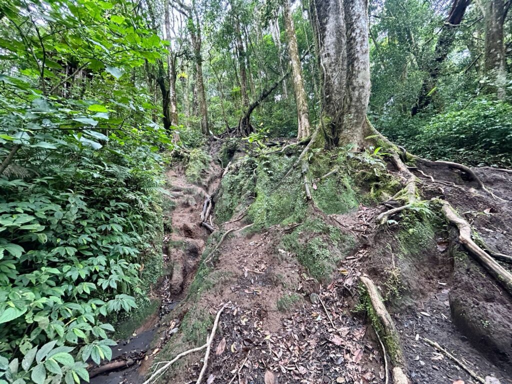 Trek Kerinci Pos 2 ke Pos 3 Indonesia A-Z