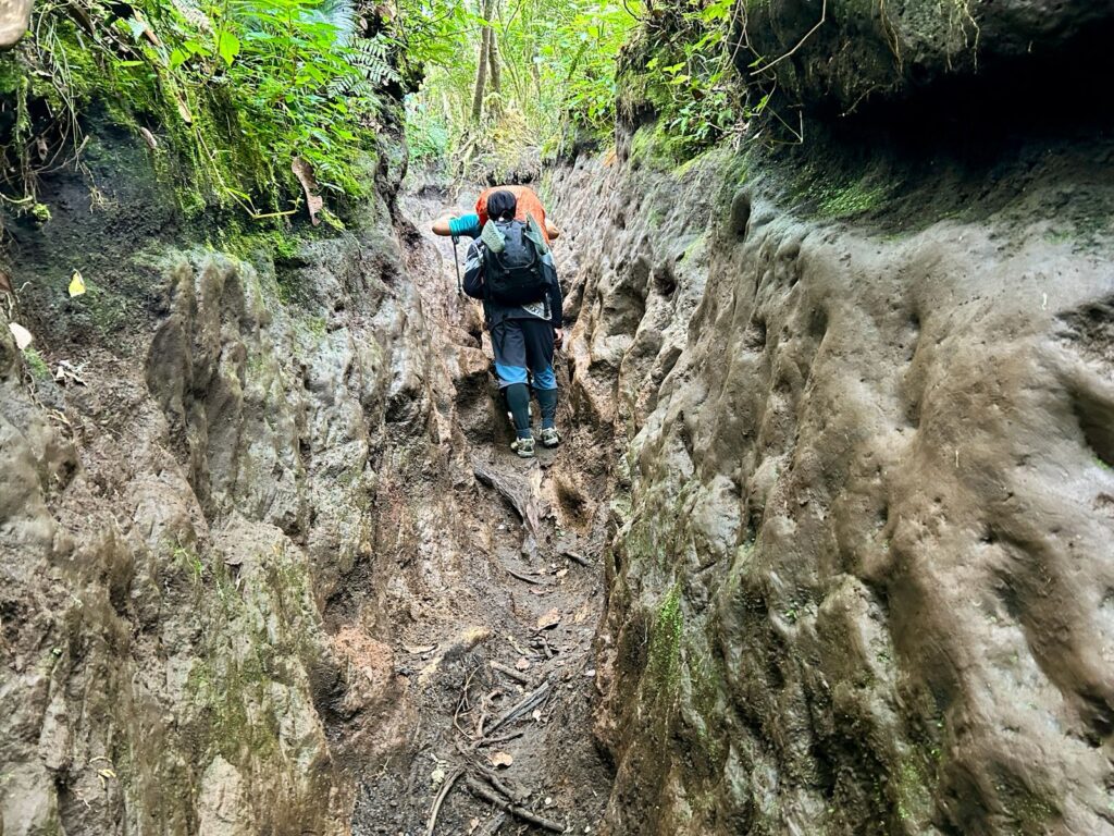Trek Kerinci Pos 3 ke Shelter 1 Indonesia A-Z