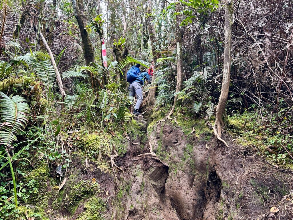 Trek Kerinci Shelter 1 ke Shelter 2 Indonesia A-Z