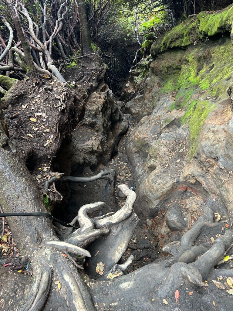 Trek dari shelter 3 ke shelter 2 Kerinci Indonesia A-Z