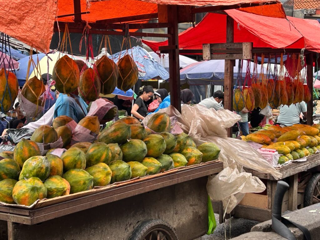 Pepaya Pasar Minggu Indonesia A-Z